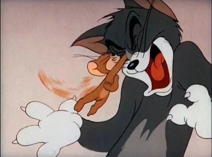 Top 158+ meme tom and jerry cực hài hước! Top 158+ meme tom and jerry cực hài hước!
