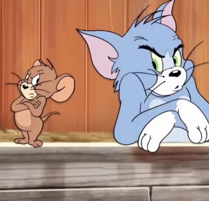 Top 158+ meme tom and jerry cực hài hước! Top 158+ meme tom and jerry cực hài hước!