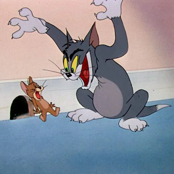 Top 158+ meme tom and jerry cực hài hước! Top 158+ meme tom and jerry cực hài hước!