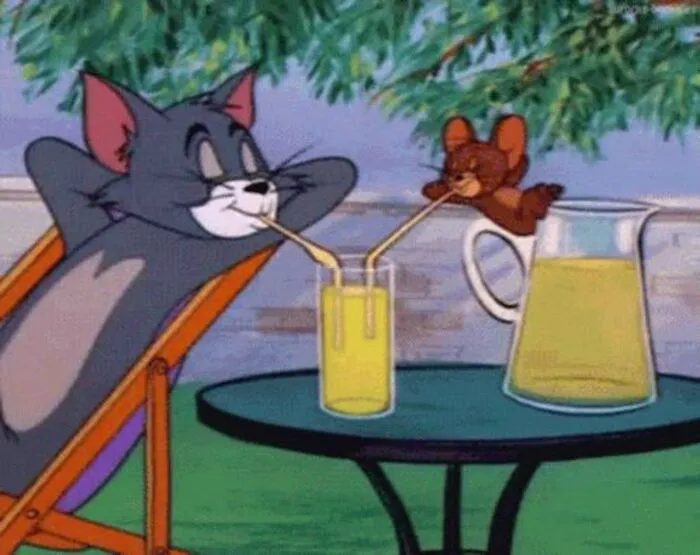 Top 158+ meme tom and jerry cực hài hước! Top 158+ meme tom and jerry cực hài hước!