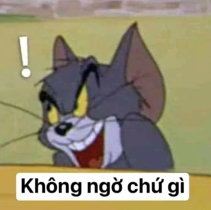 Hơn 99+ meme tom hài hước: Tổng hợp khoảnh khắc 'cười ra nước mắt'