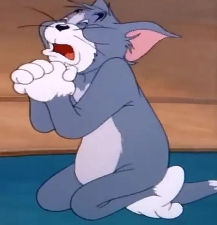 Hơn 99+ meme tom hài hước: Tổng hợp khoảnh khắc 'cười ra nước mắt'
