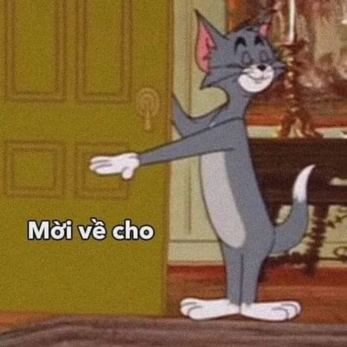 Hơn 99+ meme tom hài hước: Tổng hợp khoảnh khắc 'cười ra nước mắt'