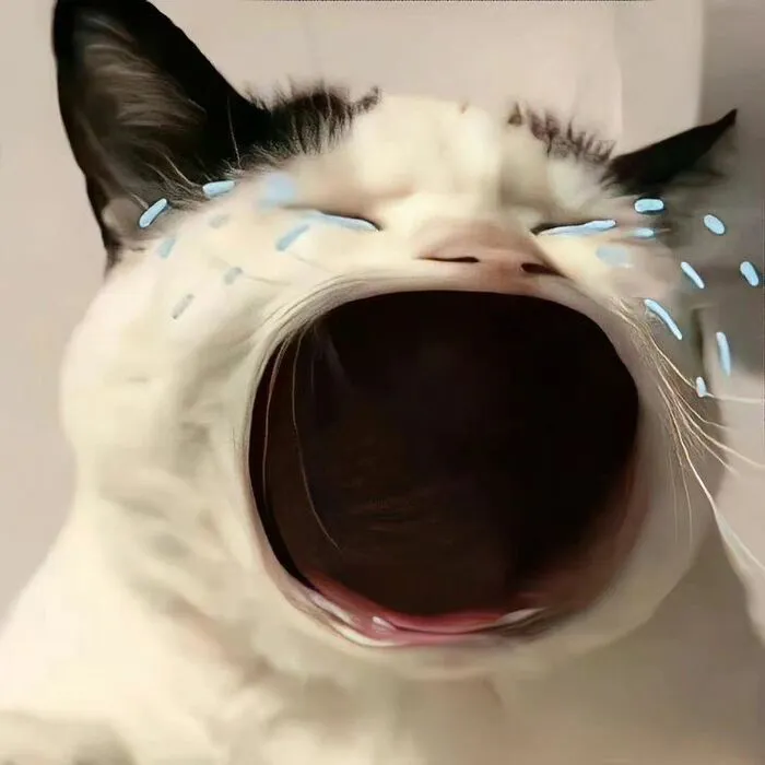 Khám phá 137+ meme tổn thương khiến bạn phải bật cười