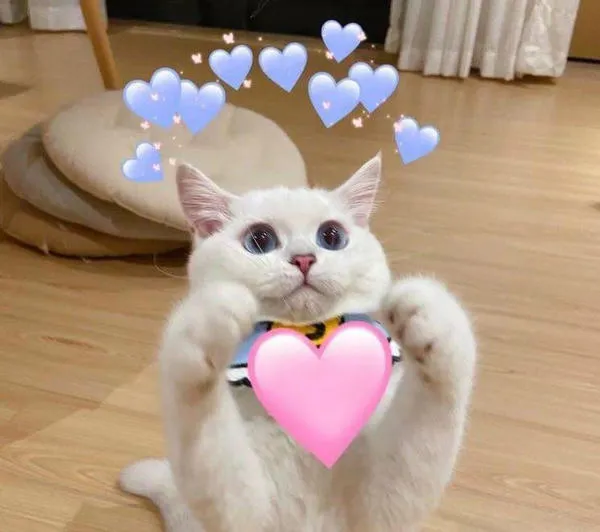 93+ meme trái tim hài hước làm tan chảy trái tim bạn