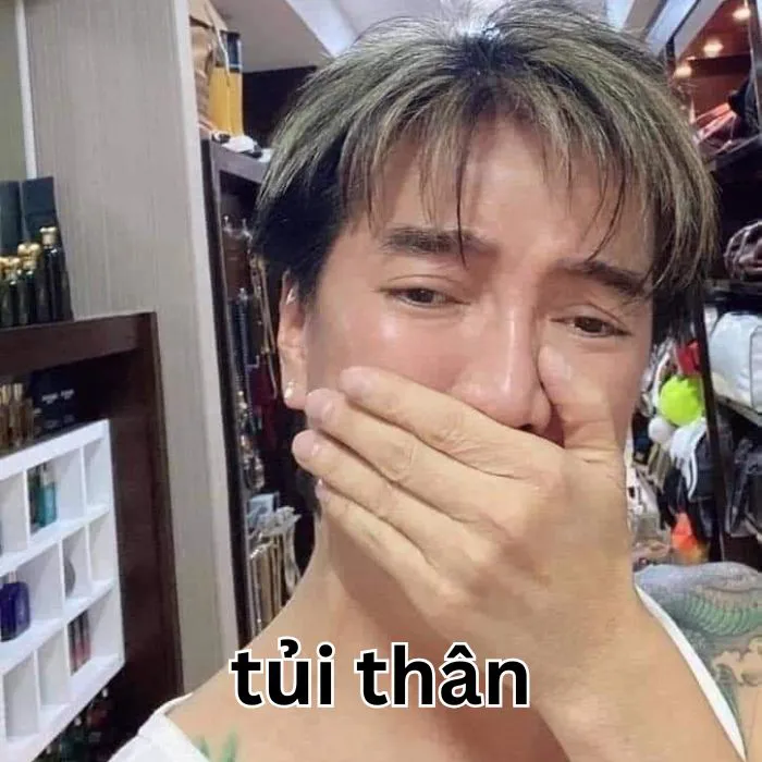 Tổng hợp 187+ meme tủi thân hài hước khiến bạn phải bật cười