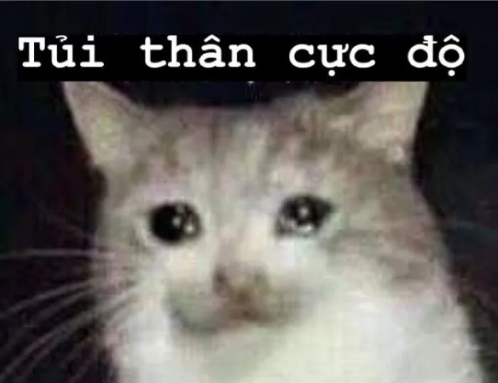 Tổng hợp 187+ meme tủi thân hài hước khiến bạn phải bật cười