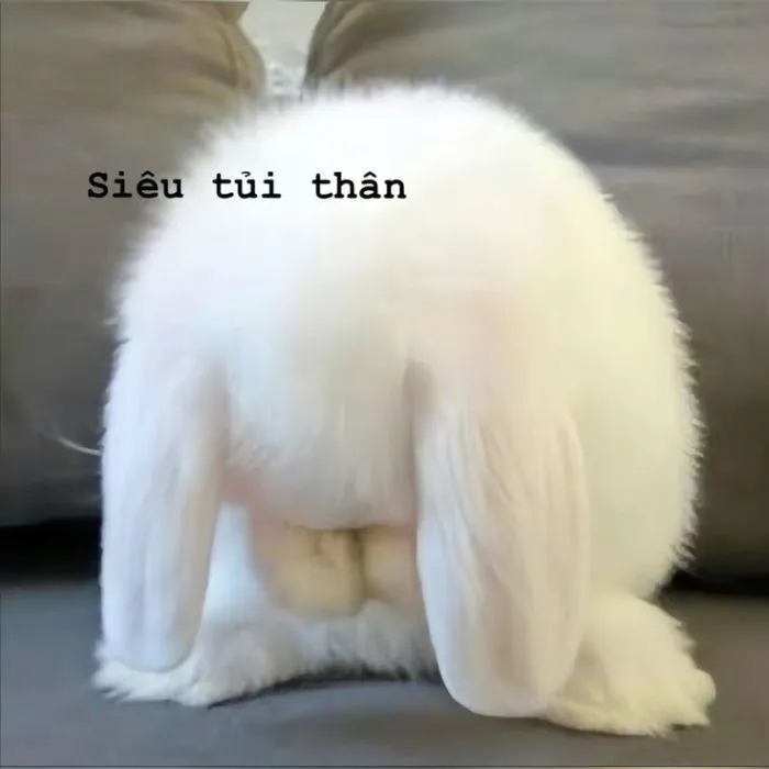 Tổng hợp 187+ meme tủi thân hài hước khiến bạn phải bật cười