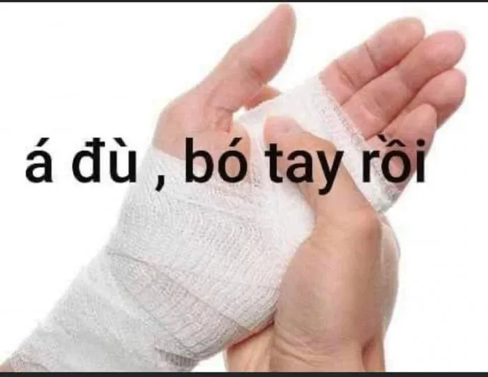 Top 138+ meme việt nam hài hước, bắt trend cực nhanh Top 138+ meme việt nam hài hước, bắt trend cực nhanh