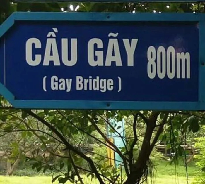 Top 138+ meme việt nam hài hước, bắt trend cực nhanh Top 138+ meme việt nam hài hước, bắt trend cực nhanh