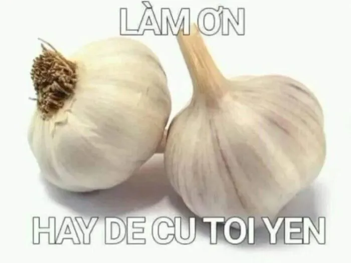 Top 138+ meme việt nam hài hước, bắt trend cực nhanh Top 138+ meme việt nam hài hước, bắt trend cực nhanh