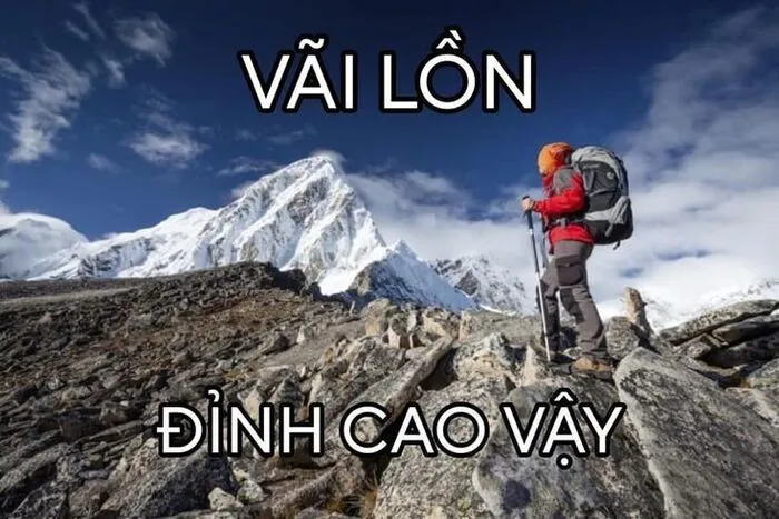 Top 138+ meme việt nam hài hước, bắt trend cực nhanh Top 138+ meme việt nam hài hước, bắt trend cực nhanh