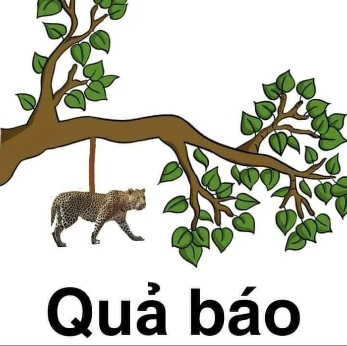 Top 138+ meme việt nam hài hước, bắt trend cực nhanh Top 138+ meme việt nam hài hước, bắt trend cực nhanh