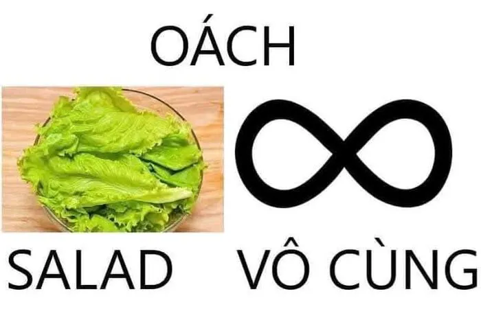 Top 138+ meme việt nam hài hước, bắt trend cực nhanh Top 138+ meme việt nam hài hước, bắt trend cực nhanh