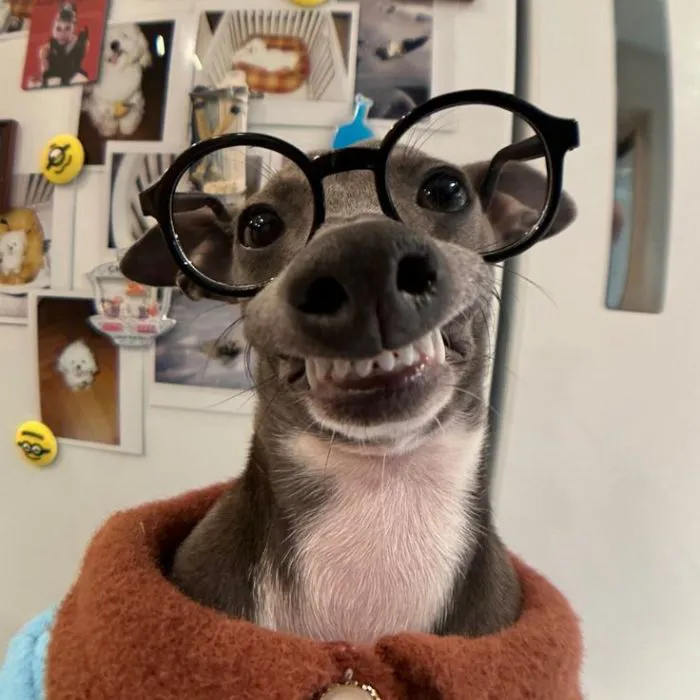 145+ meme vui cười thả ga, xả stress cực đỉnh