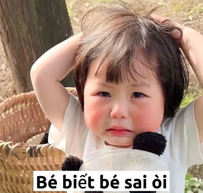 Tuyển tập meme xin lỗi hài hước nhất, cứu nguy mọi tình huống Tuyển tập meme xin lỗi hài hước nhất, cứu nguy mọi tình huống