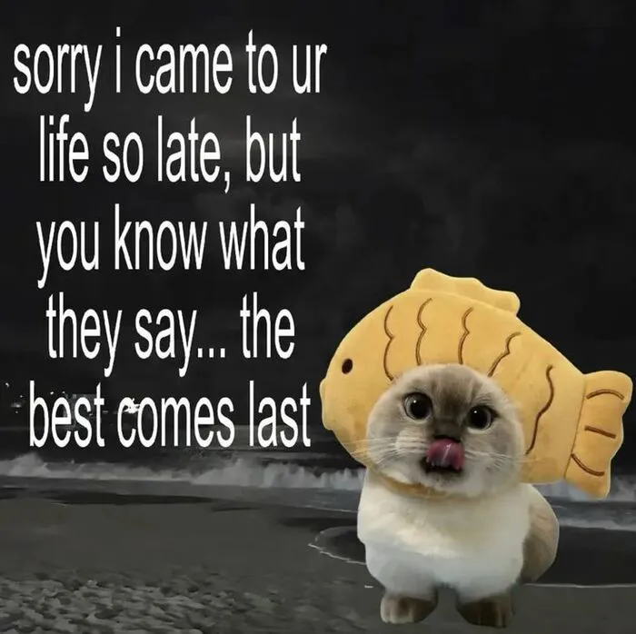 Tuyển tập meme xin lỗi hài hước nhất, cứu nguy mọi tình huống Tuyển tập meme xin lỗi hài hước nhất, cứu nguy mọi tình huống