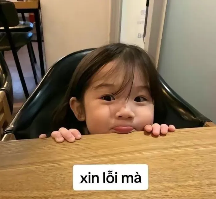 Tuyển tập meme xin lỗi hài hước nhất, cứu nguy mọi tình huống Tuyển tập meme xin lỗi hài hước nhất, cứu nguy mọi tình huống