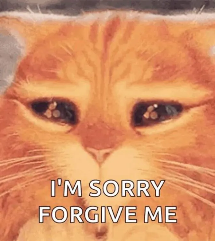 Tuyển tập meme xin lỗi hài hước nhất, cứu nguy mọi tình huống Tuyển tập meme xin lỗi hài hước nhất, cứu nguy mọi tình huống
