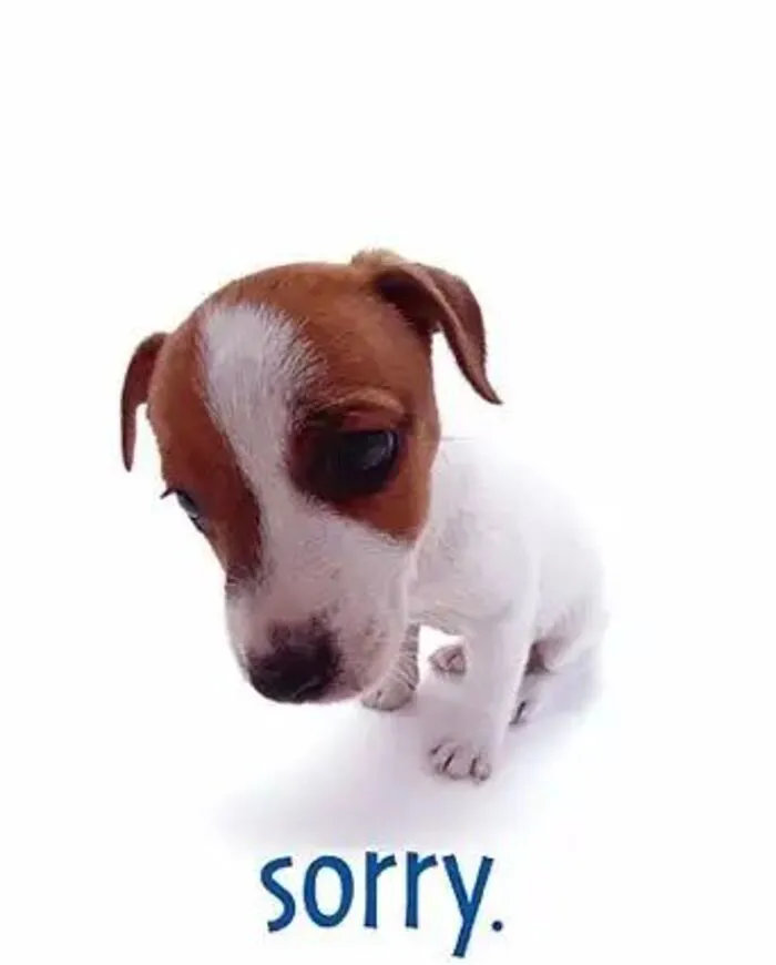 Tuyển tập meme xin lỗi hài hước nhất, cứu nguy mọi tình huống Tuyển tập meme xin lỗi hài hước nhất, cứu nguy mọi tình huống