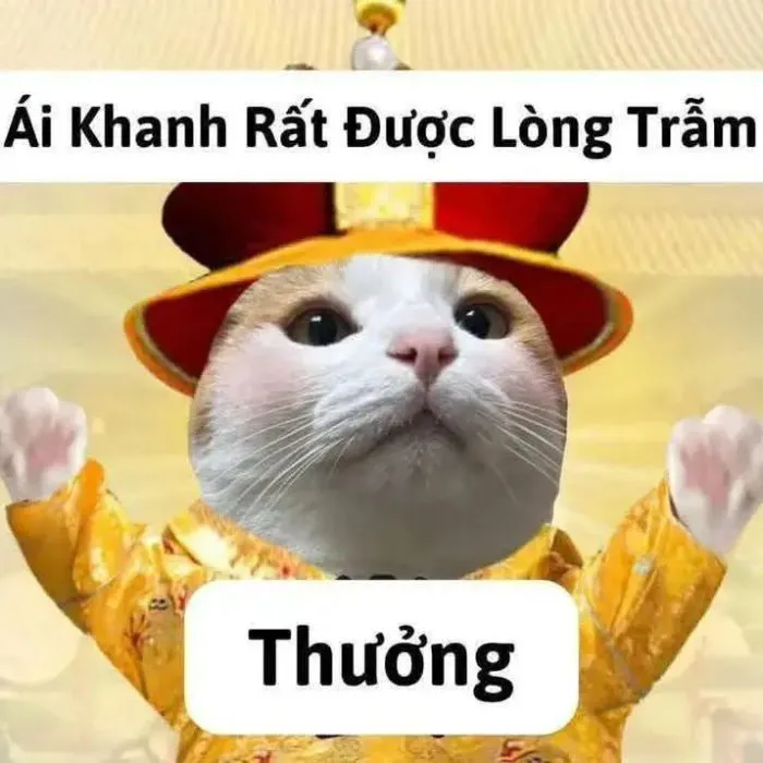 Tuyển tập 187+ meme yêu thương, lời tỏ tình độc đáo nhất Tuyển tập 187+ meme yêu thương, lời tỏ tình độc đáo nhất