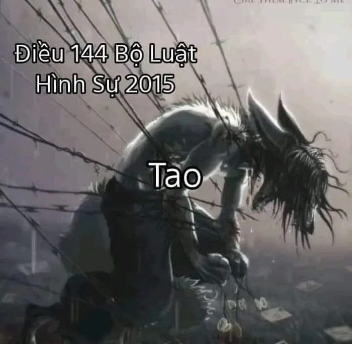 Ngắm nhìn thế giới qua 98+ sói cô độc meme độc đáo Ngắm nhìn thế giới qua 98+ sói cô độc meme độc đáo