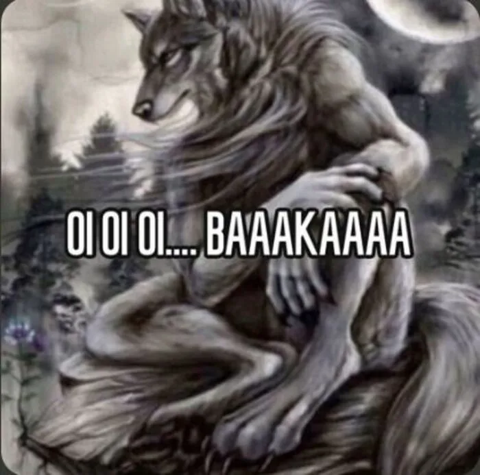 Ngắm nhìn thế giới qua 98+ sói cô độc meme độc đáo Ngắm nhìn thế giới qua 98+ sói cô độc meme độc đáo
