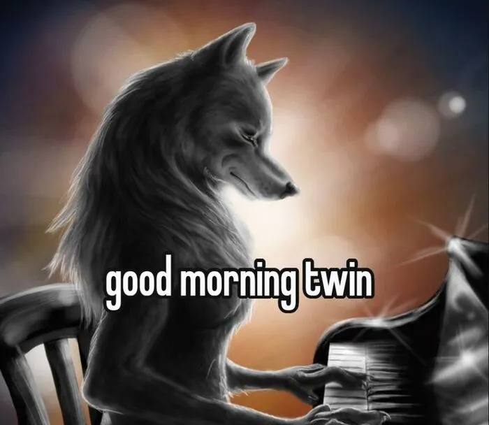 Ngắm nhìn thế giới qua 98+ sói cô độc meme độc đáo Ngắm nhìn thế giới qua 98+ sói cô độc meme độc đáo