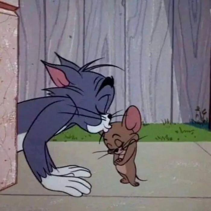 Tổng hợp 150+ tom and jerry meme hài hước, không thể nhịn cười Tổng hợp 150+ tom and jerry meme hài hước, không thể nhịn cười