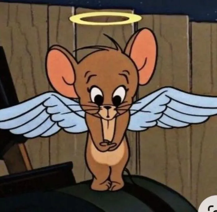 Tổng hợp 150+ tom and jerry meme hài hước, không thể nhịn cười Tổng hợp 150+ tom and jerry meme hài hước, không thể nhịn cười