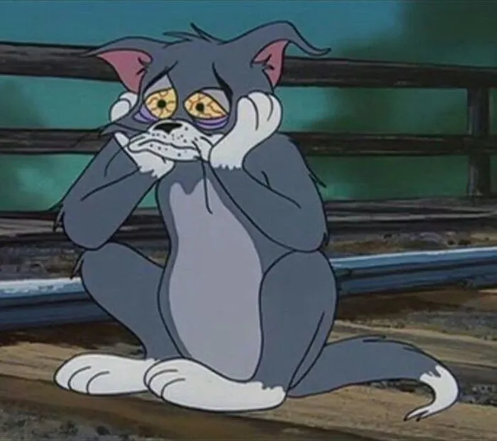 Tổng hợp 150+ tom and jerry meme hài hước, không thể nhịn cười Tổng hợp 150+ tom and jerry meme hài hước, không thể nhịn cười