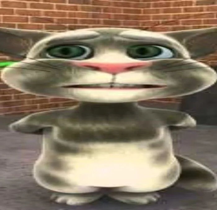 Tổng hợp 98+ tom meme hài hước nhất bạn không thể bỏ lỡ