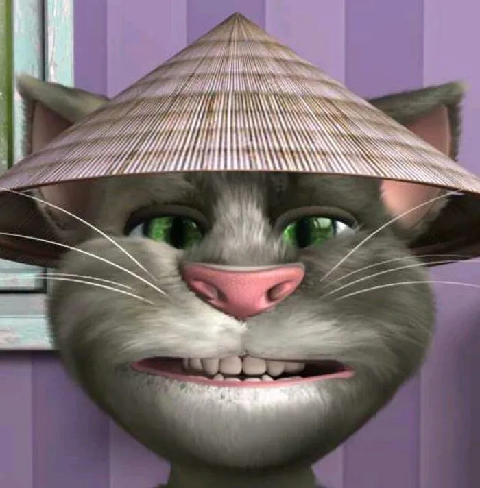 Tổng hợp 98+ tom meme hài hước nhất bạn không thể bỏ lỡ
