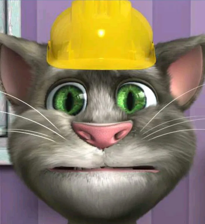 Tổng hợp 98+ tom meme hài hước nhất bạn không thể bỏ lỡ