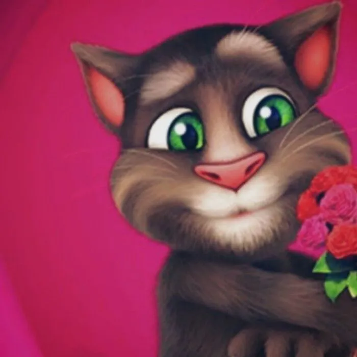 Tổng hợp 98+ tom meme hài hước nhất bạn không thể bỏ lỡ