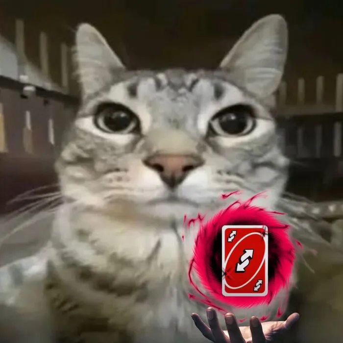 Hơn 238+ uno meme hài hước, cực đỉnh khiến bạn cười xỉu