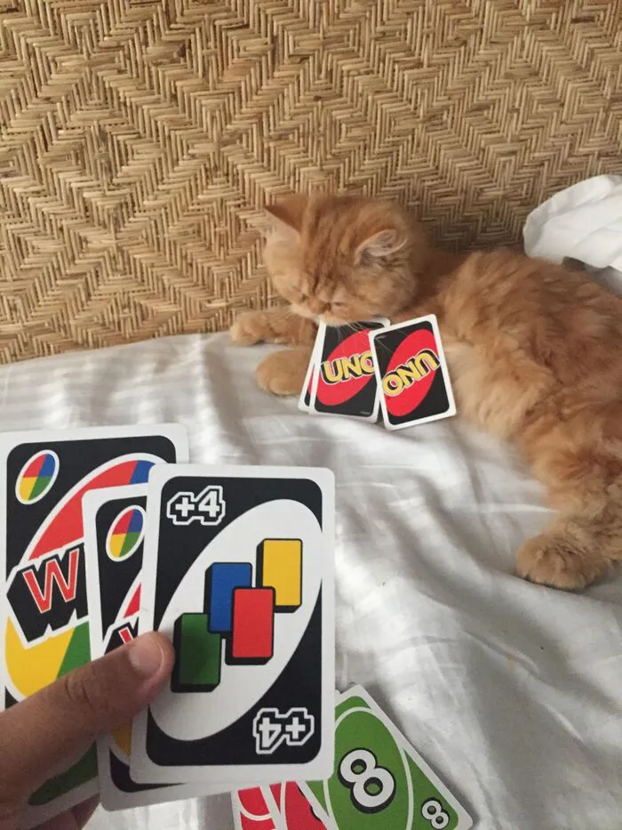 Hơn 238+ uno meme hài hước, cực đỉnh khiến bạn cười xỉu
