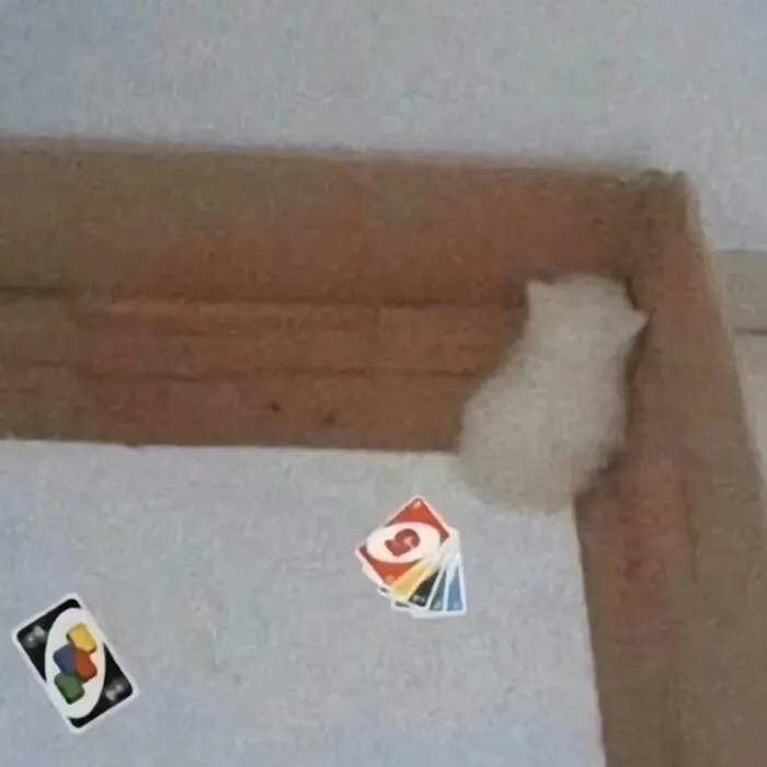 Hơn 238+ uno meme hài hước, cực đỉnh khiến bạn cười xỉu