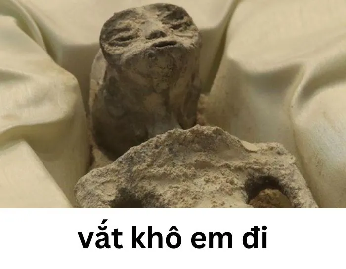 Tổng hợp 187+ vắt cực khô meme hài hước khó đỡ Tổng hợp 187+ vắt cực khô meme hài hước khó đỡ