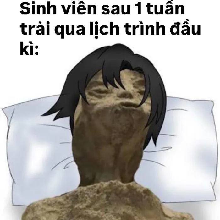 Tổng hợp 187+ vắt cực khô meme hài hước khó đỡ Tổng hợp 187+ vắt cực khô meme hài hước khó đỡ