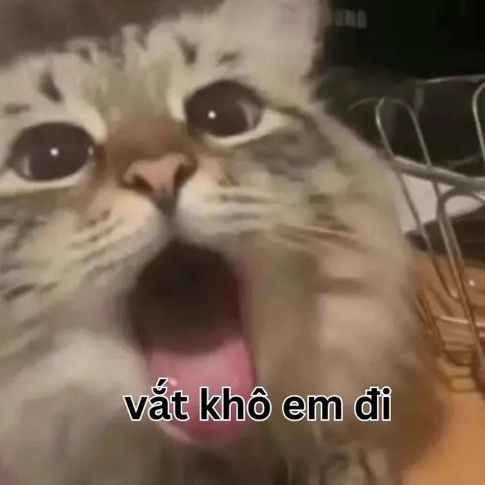 Tổng hợp 187+ vắt cực khô meme hài hước khó đỡ Tổng hợp 187+ vắt cực khô meme hài hước khó đỡ