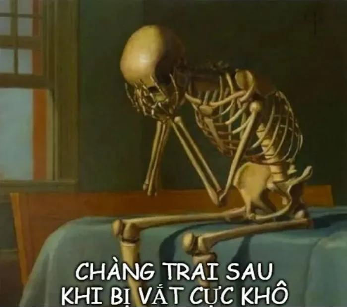 Tổng hợp 187+ vắt cực khô meme hài hước khó đỡ Tổng hợp 187+ vắt cực khô meme hài hước khó đỡ