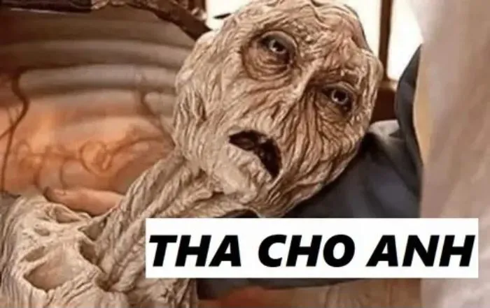 Tổng hợp 187+ vắt cực khô meme hài hước khó đỡ Tổng hợp 187+ vắt cực khô meme hài hước khó đỡ