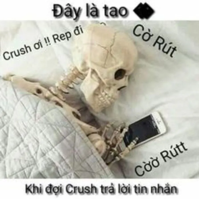 Tổng hợp 187+ vắt cực khô meme hài hước khó đỡ Tổng hợp 187+ vắt cực khô meme hài hước khó đỡ