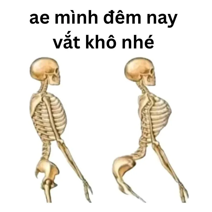 Tổng hợp 187+ vắt cực khô meme hài hước khó đỡ Tổng hợp 187+ vắt cực khô meme hài hước khó đỡ