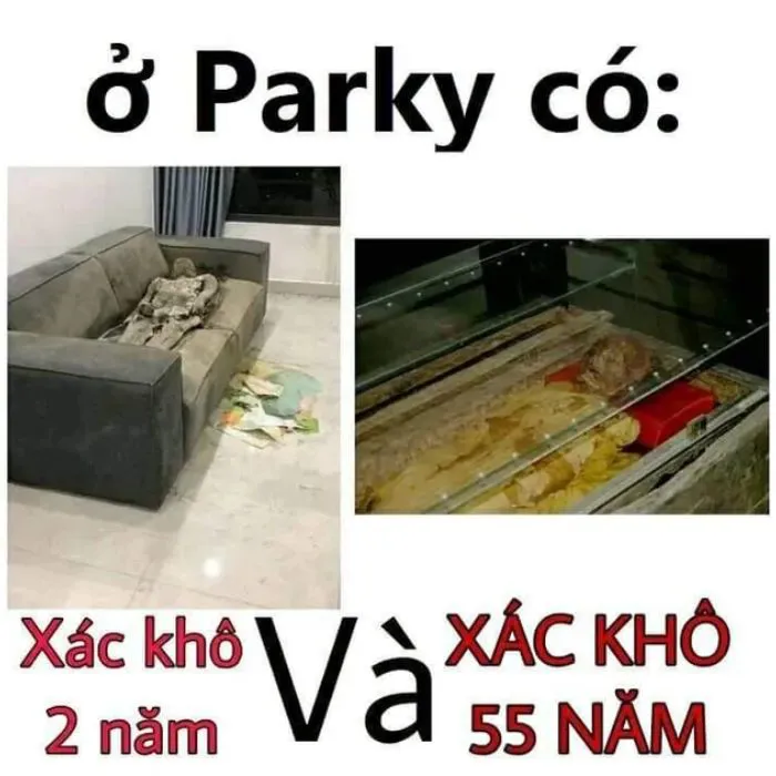 Tổng hợp 187+ vắt cực khô meme hài hước khó đỡ Tổng hợp 187+ vắt cực khô meme hài hước khó đỡ