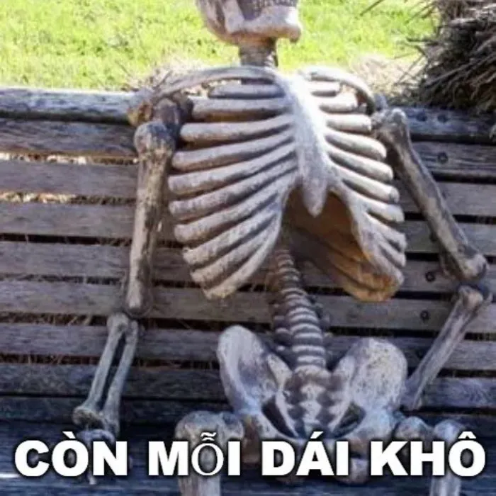 Tổng hợp 187+ vắt cực khô meme hài hước khó đỡ Tổng hợp 187+ vắt cực khô meme hài hước khó đỡ