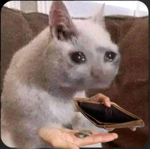 238+ ví rỗng meme hài hước khiến bạn cười nghiêng ngả