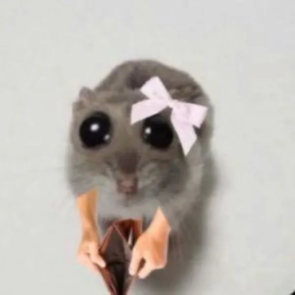 238+ ví rỗng meme hài hước khiến bạn cười nghiêng ngả