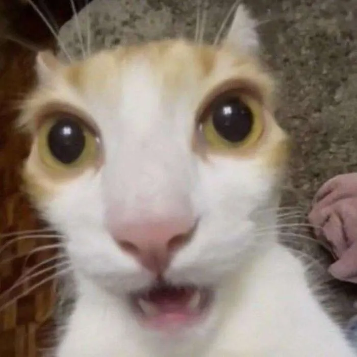 Những wow meme hài hước nhất khiến bạn cười xỉu up xỉu down